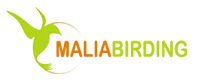 Malia Birding
